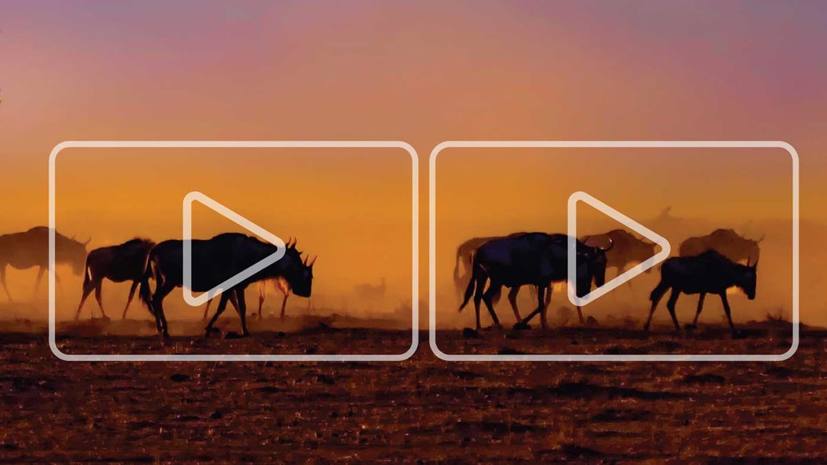 Stock media: How to find and use the best stock photos, videos, music and more