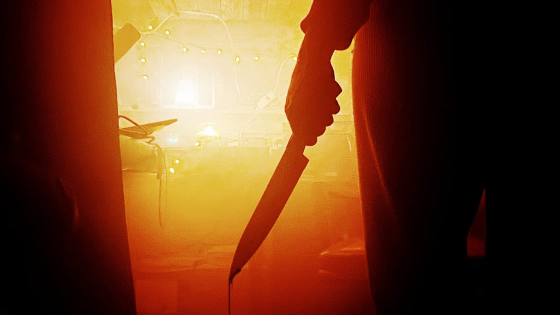 A look into the gore horror genre