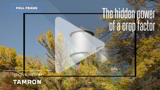 The hidden power of a crop factor