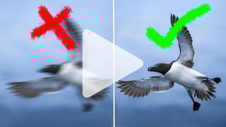 How to pick the right shutter speed