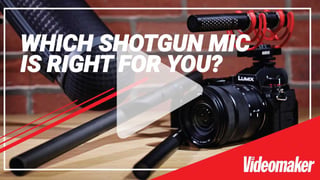 Which shotgun mic is right for you?